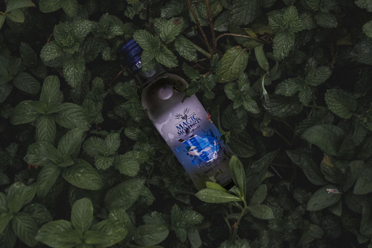 gallery-2 Moody still life of a vodka bottle nestled among fresh mint leaves, creating a dark, organic aesthetic.